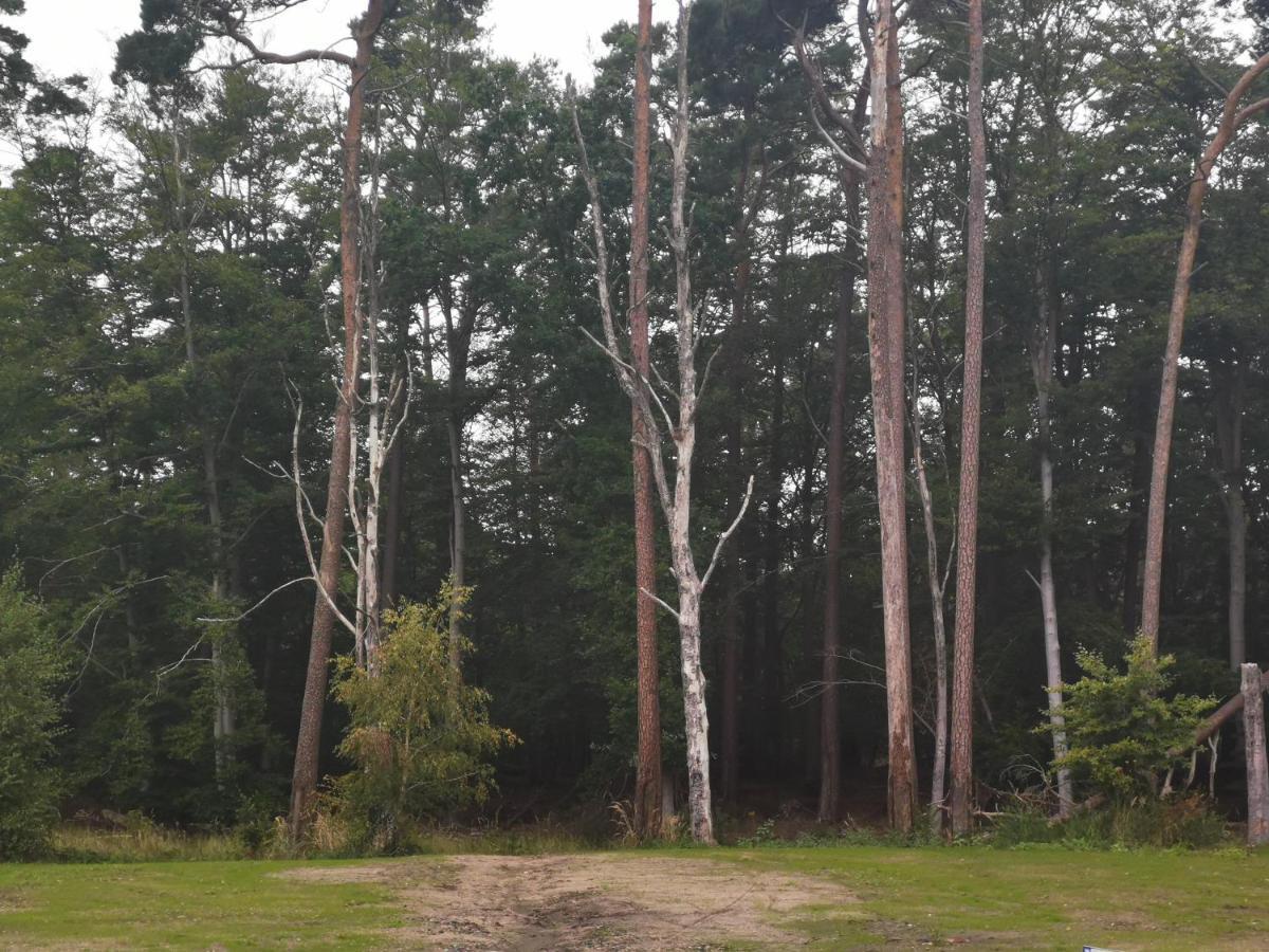 Ferienwohnung OG Graal-Müritz Küstenwald Exterior foto
